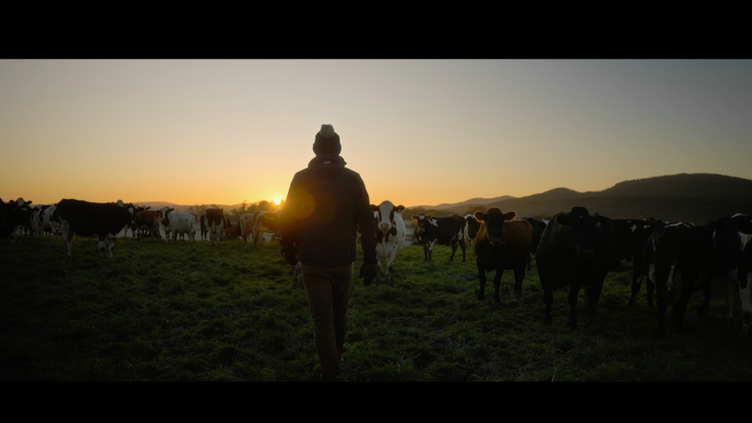 The Tasmanian Mark 2023